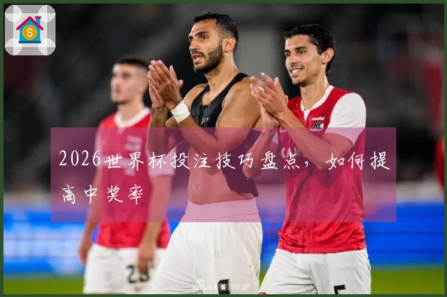 2026世界杯投注技巧盘点，如何提高中奖率