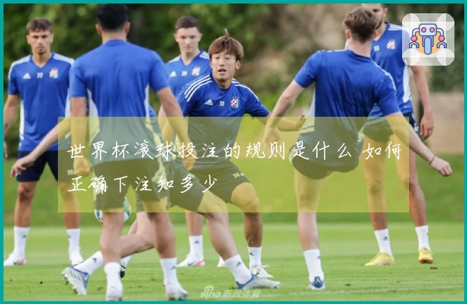 世界杯滚球投注的规则是什么 如何正确下注知多少