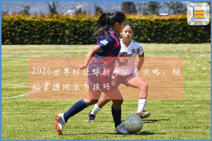 2026世界杯让球新手必看攻略，轻松掌握玩法与技巧