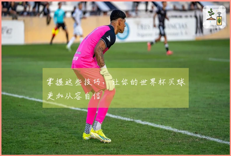 掌握这些技巧，让你的世界杯买球更加从容自信