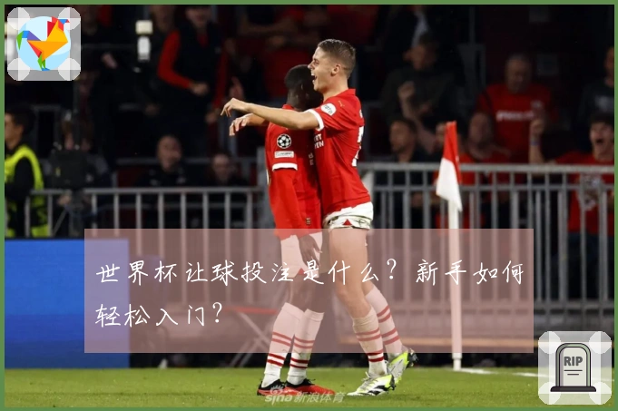 世界杯让球投注是什么？新手如何轻松入门？