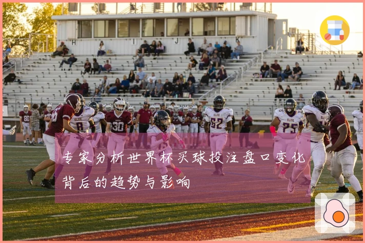 专家分析世界杯买球投注盘口变化背后的趋势与影响