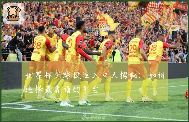 世界杯买球投注入口大揭秘：如何选择最靠谱的平台