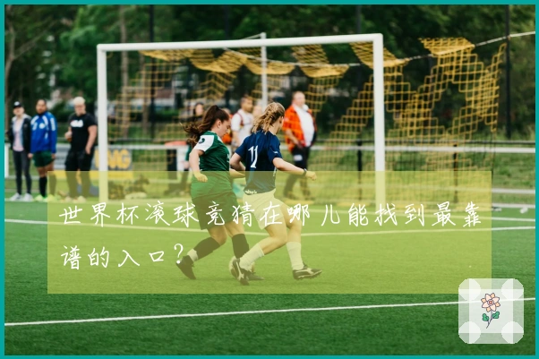 世界杯滚球竞猜在哪儿能找到最靠谱的入口？