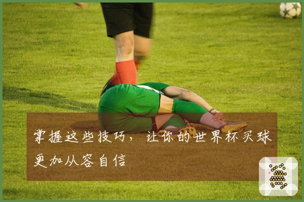掌握这些技巧，让你的世界杯买球更加从容自信