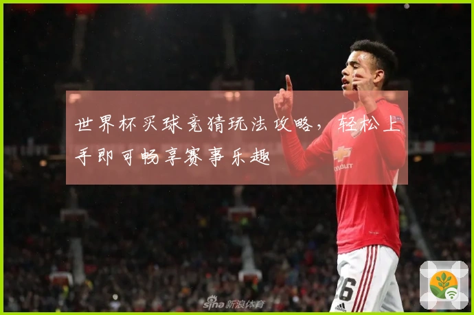 世界杯买球竞猜玩法攻略，轻松上手即可畅享赛事乐趣