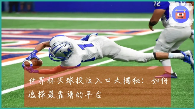 世界杯买球投注入口大揭秘：如何选择最靠谱的平台